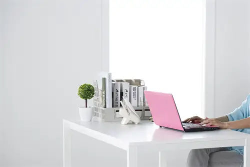 学法律的人有什么别称