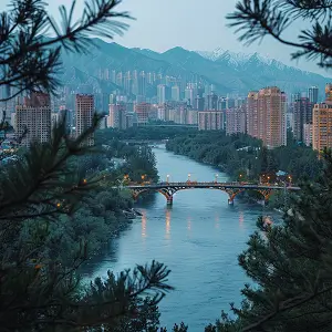 有偿法律行为是什么