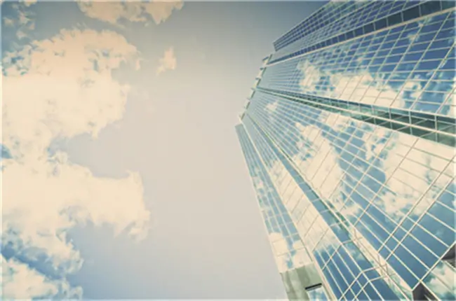 埃及法律是什么法系的