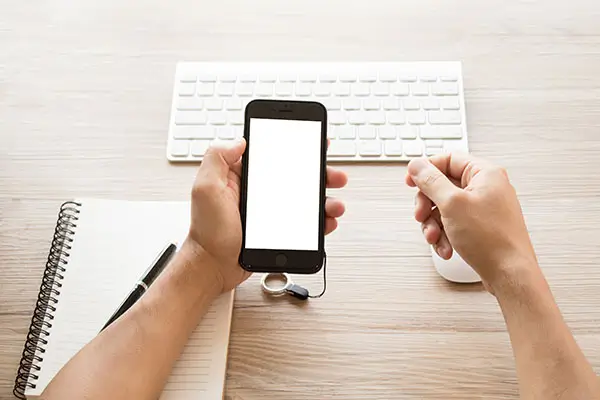 什么是关于教师的法律